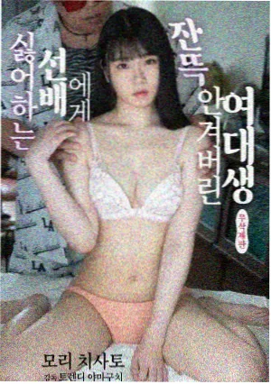 XL 上司 番外与设定补遗封面